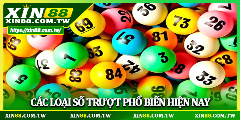 Các loại số trượt phổ biến hiện nay