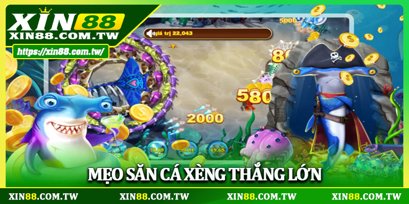 Mẹo săn cá Xèng thắng lớn nhanh chóng